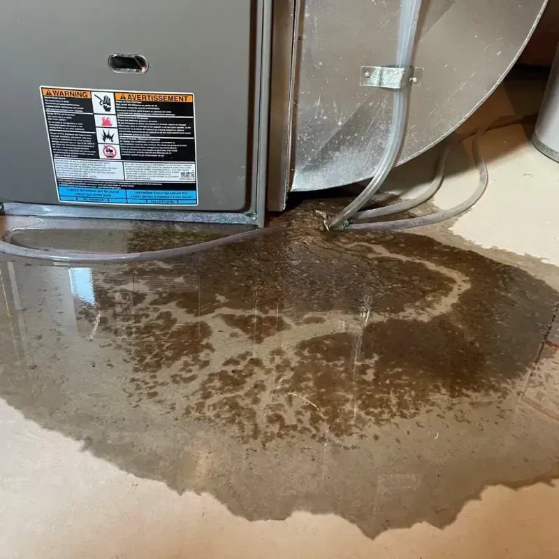 Appliance Leak Cleanup in Gaithersburg, MD